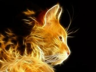 Free download 79 Cool Cat Wallpapers on WallpaperPlay ...