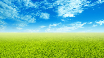 Sky Field Wallpaper