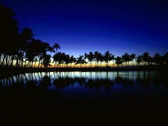 Palm Silhouette Big Island Hawaii Wallpaper HD