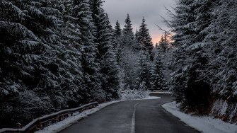 Trees Road Winter Snow 4k Wallpaper