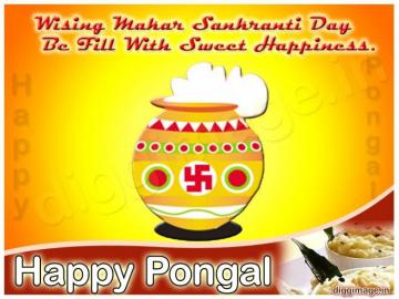 Wising Makar Sankranti Day Be Fill With Sweet Happiness Happy Pongal