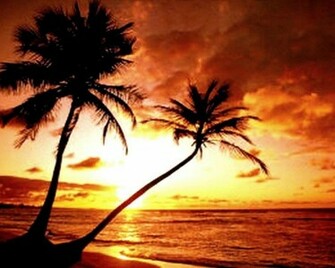 Tropical Beach Sunset Wallpaper HD
