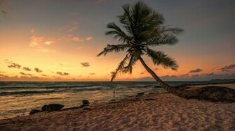 Image For Beach Dream Night Wallpaper