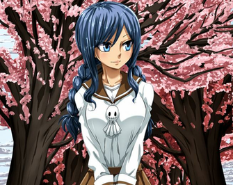 Juvia Lockser Wallpaper And Background Anime Tokkoro