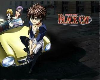 Black Cat Image HD Wallpaper And Background Photos