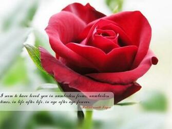 Wallpaper With Quotes Daily Pics Update HD
