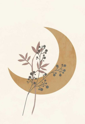 Boho Aesthetic Wallpaper