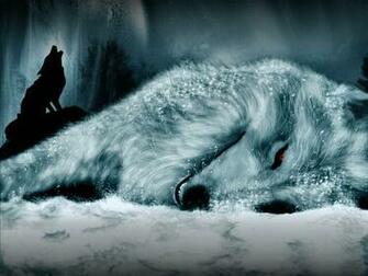Wolf Wallpaper Background