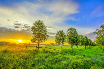 HD Nature Scenery Wallpaper For Desktop