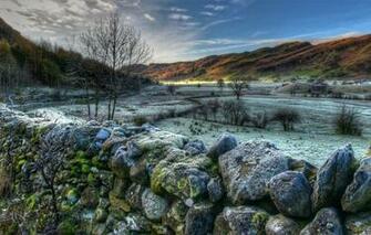 Wallpaper Winter Snow Trees Mountains Stones Hills Field