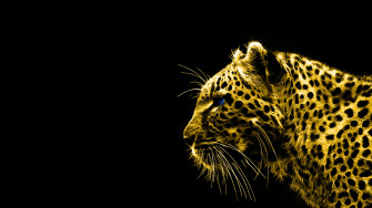 Black And Gold Desktop Wallpaper