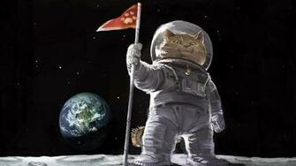 Cat Astronaut On The Moon Wallpaper And Image Pictures