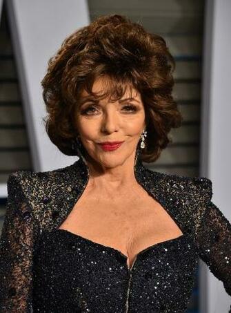 Joan Collins Image HD Wallpaper And