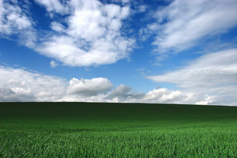Windows Xp Bliss Wallpaper Weddingdressin