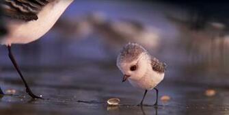 Pixar S Piper Lands Oscar Nomination Finding Dory Left Out