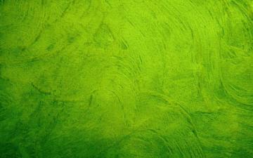 Green Textures Wallpaper