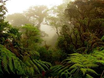Monte Verde Atv Tours Conchal