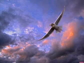 Clouds Birds Wallpaper Skyscapes