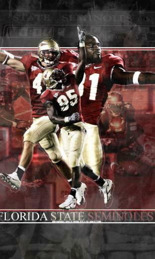 Florida State Seminoles Football Wallpaper For Nokia Lumia