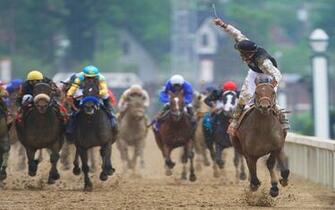 Horse Racing Kentucky Derby Computer Desktop Wallpaper