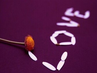Love Words Wallpaper Desktop