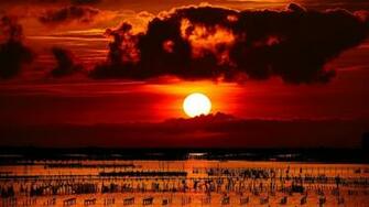 Nature Monitor Background Image Organic Life Freshness Love