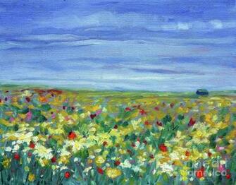 Field Of Flowers Pictures All Wallpaper New