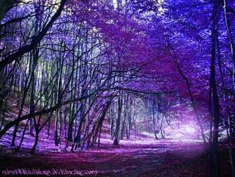 Purple Tree Wallpaper