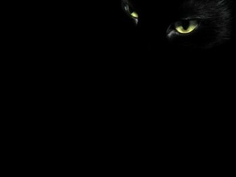 Black Cat Eyes Wallpaper