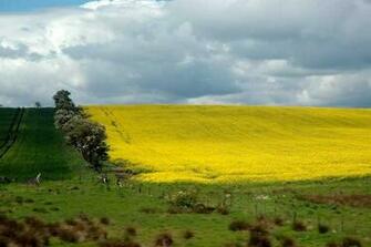 French Countryside Image