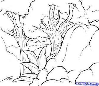 Tropical Rainforest Drawing Draw A Background Step