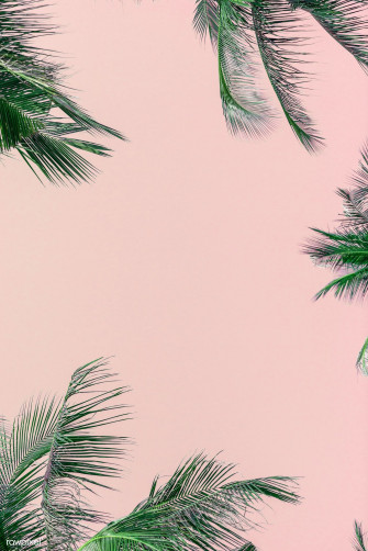 Incomparable Pink Aesthetic Wallpaper Palm Tree You Can Get It At No