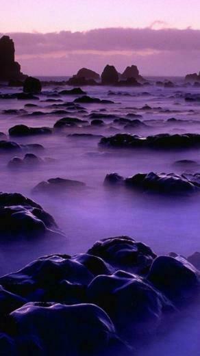 Nature Nexus Wallpaper HD And Background