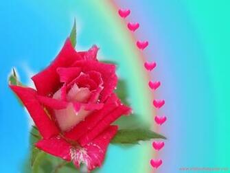 Love Wallpaper With Sweet Roses And Orchids Valentine Heart