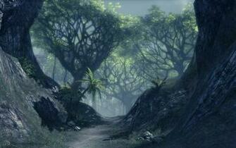 Haunted Forest Wallpaper