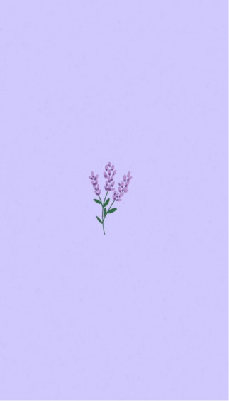 Adorable Lavender Wallpaper In Purple Flowers