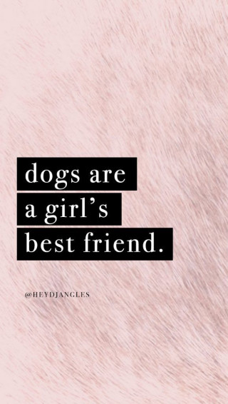 Resources Hey Djangles Dog Quotes Love