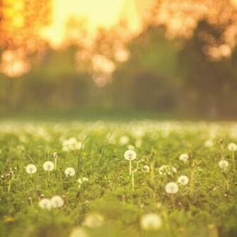 My Mobile Background Posted On Instagram Follow Me