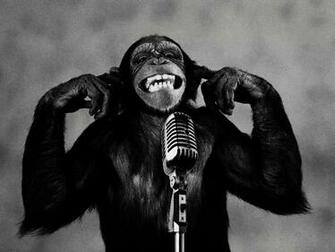Chimpanzee At Microphone Funny Wallpaper Of Monkeys Cute