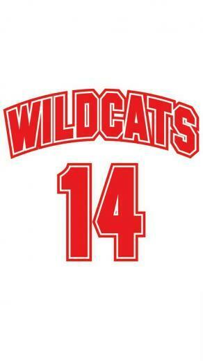 Wildcats Disney Filme Da Vida High School Musical E