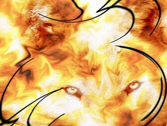 In Flames Wallpaper