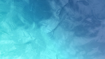 Turquoise Wallpaper