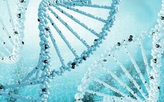 Dna Helix HD Wallpaper Desktop Background