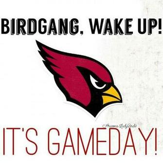 Arizona Cardinals Memes And Things