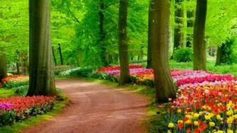 Nature HD Wallpaper On Wallpaperget