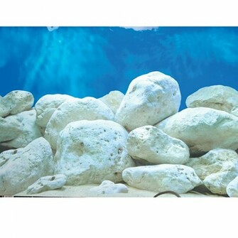 Cool Looking Fish Tanks Cd Fs51106p Fishjpg Pictures