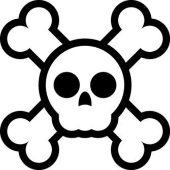 Skull And Crossbones Widescreen Wallpaper HD