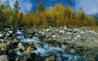 Autumn In Siberia Wallpaper
