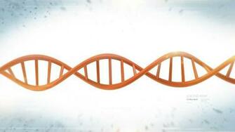 Double Helix By Bmor Creative