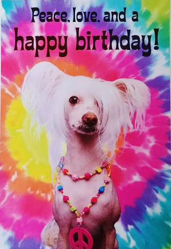 Amazon Greeting Card Peace Love And Happy BirtHDay Hippie